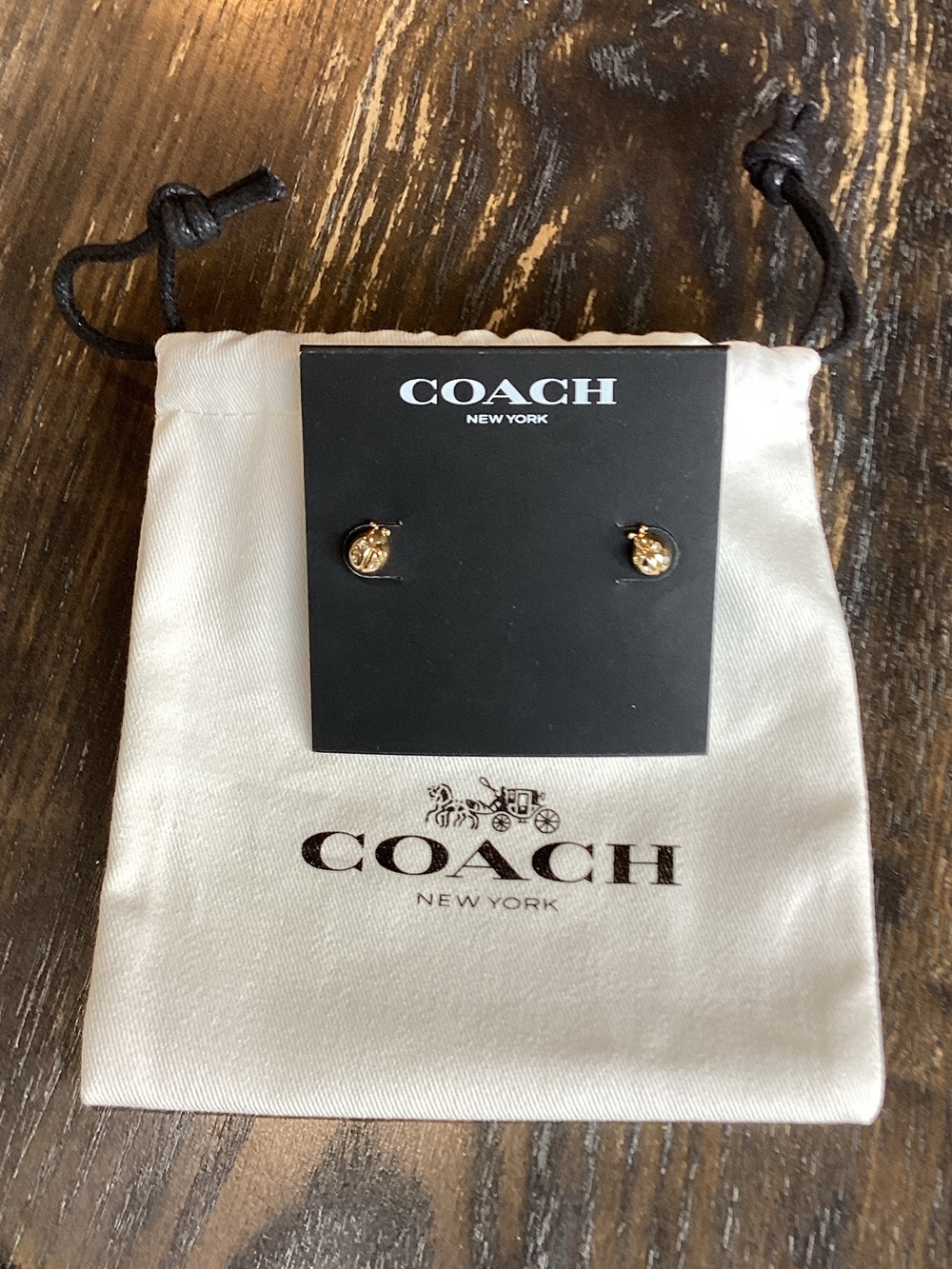 Coach Ladybug Mini Stud Earrings